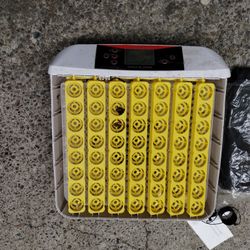 Incubator 