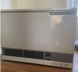 Rinnai Energy Saver ES38P