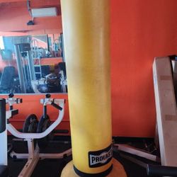 PROLAST STAND UP PUNCHING BAG ( EXCELLENT CONDITION  )