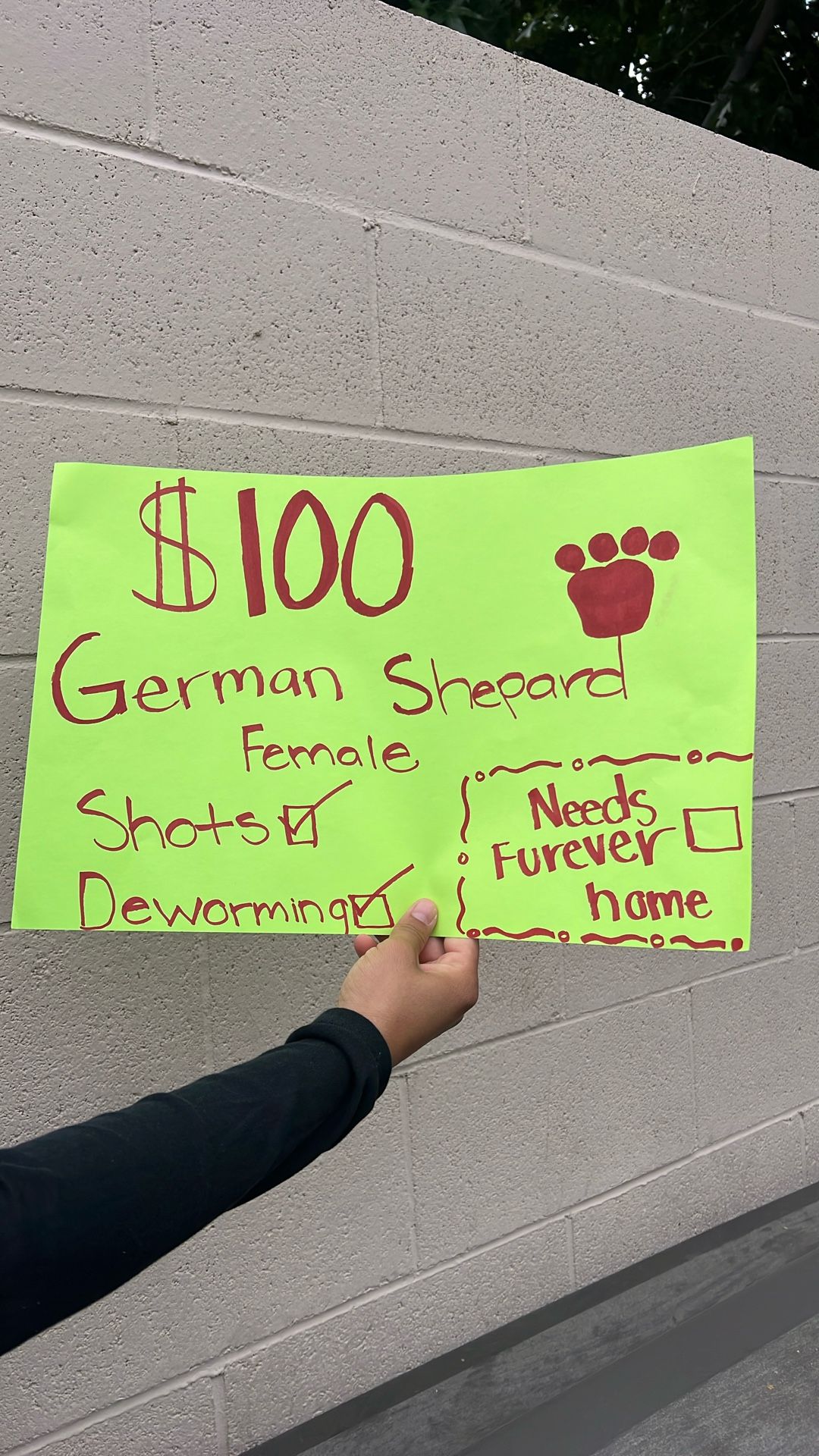 Sign