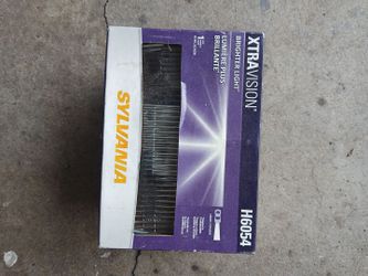 Head light bulb