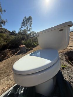 Free toilet