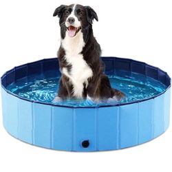 Dog Pool 