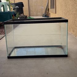 Title: 40 gallon fish tank