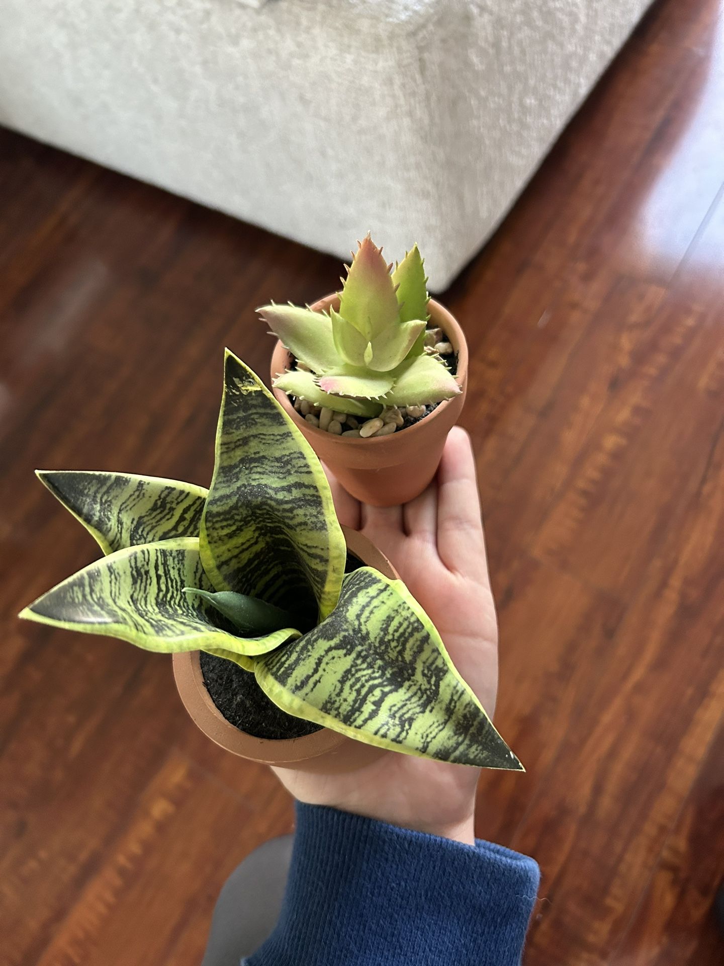 Set of two fake Succulents 