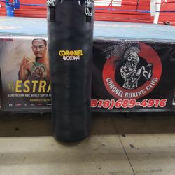 Punching Bag