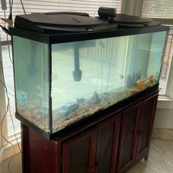 Fish Tank 