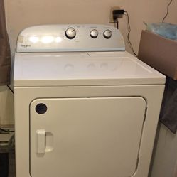 1 Year Old Dryer