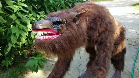 Fur Werewolf Animatronic