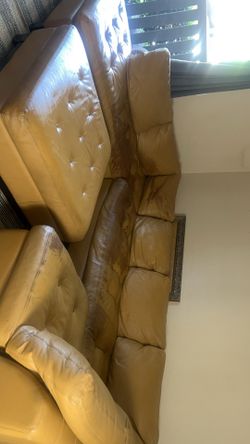 Arizona leather couch