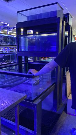 3-TIER FISH + FRAG SYSTEM FOR SALE