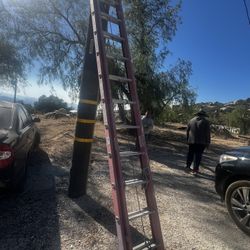 12 ft ladder