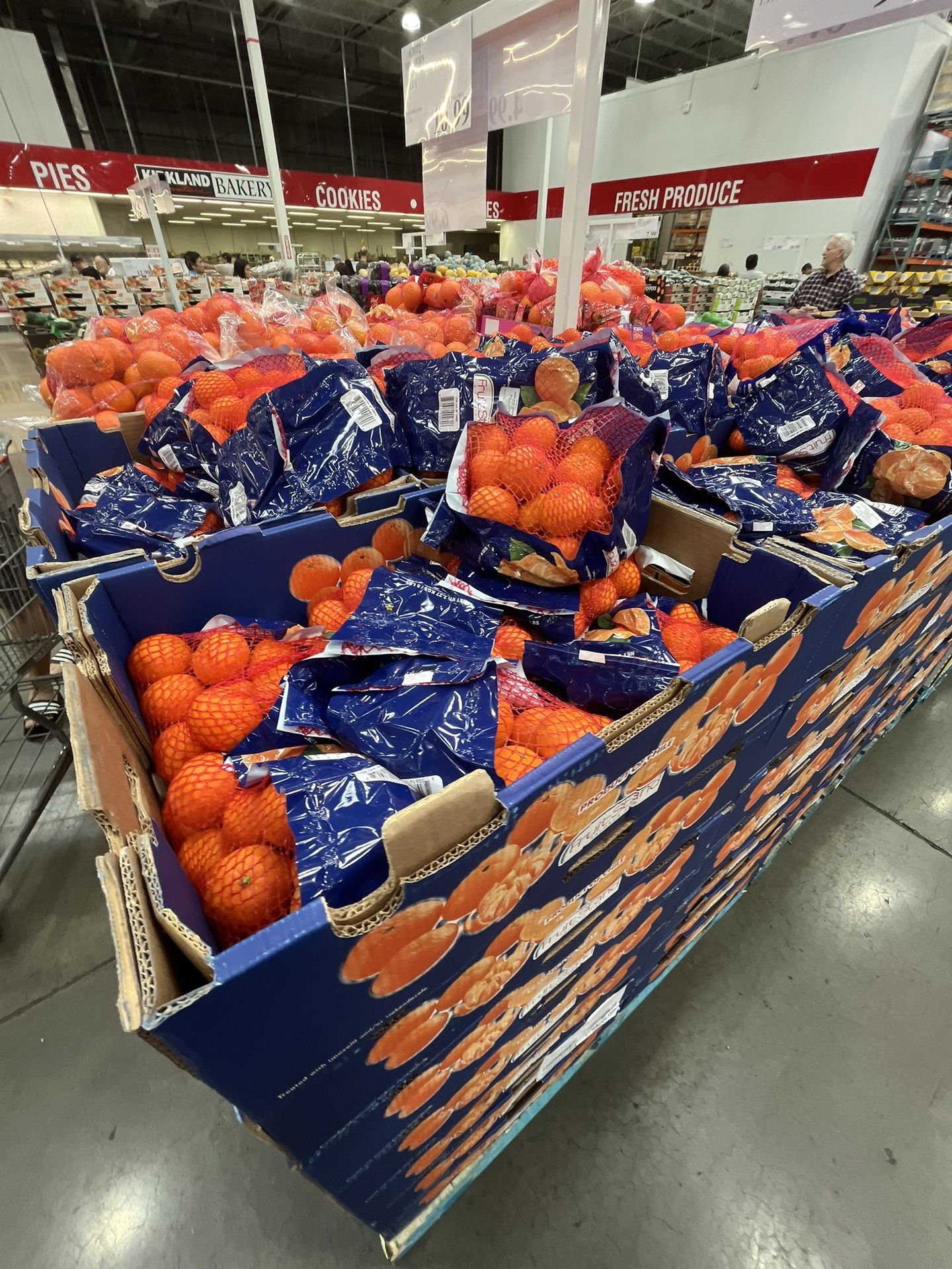 big oranges