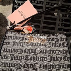 Juicy mini clutch purse