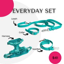 Dog Harness, Collar, Leash & Seatbelt 