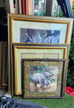Beautiful Picture frames