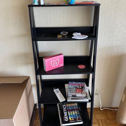 Bookcase / Ladder Shelf 