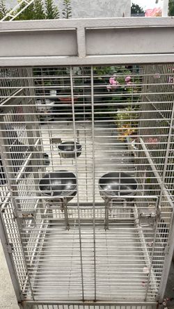 Big cockatiels or parrots cage with play place on the top good condition/ I have on sale cockatiels too $100.00 each or save on a pair