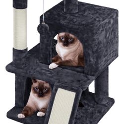 Black cat Condo 591853