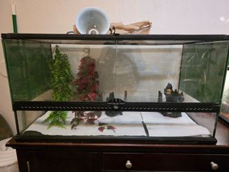 40 gallon long tank