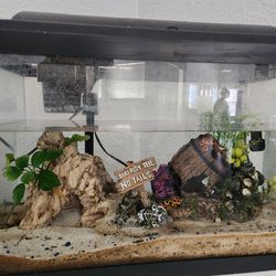 Fish Tank With Everything