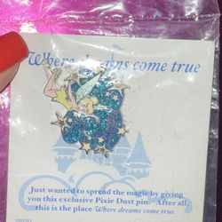 Disney Pin *NEW* *RARE*
