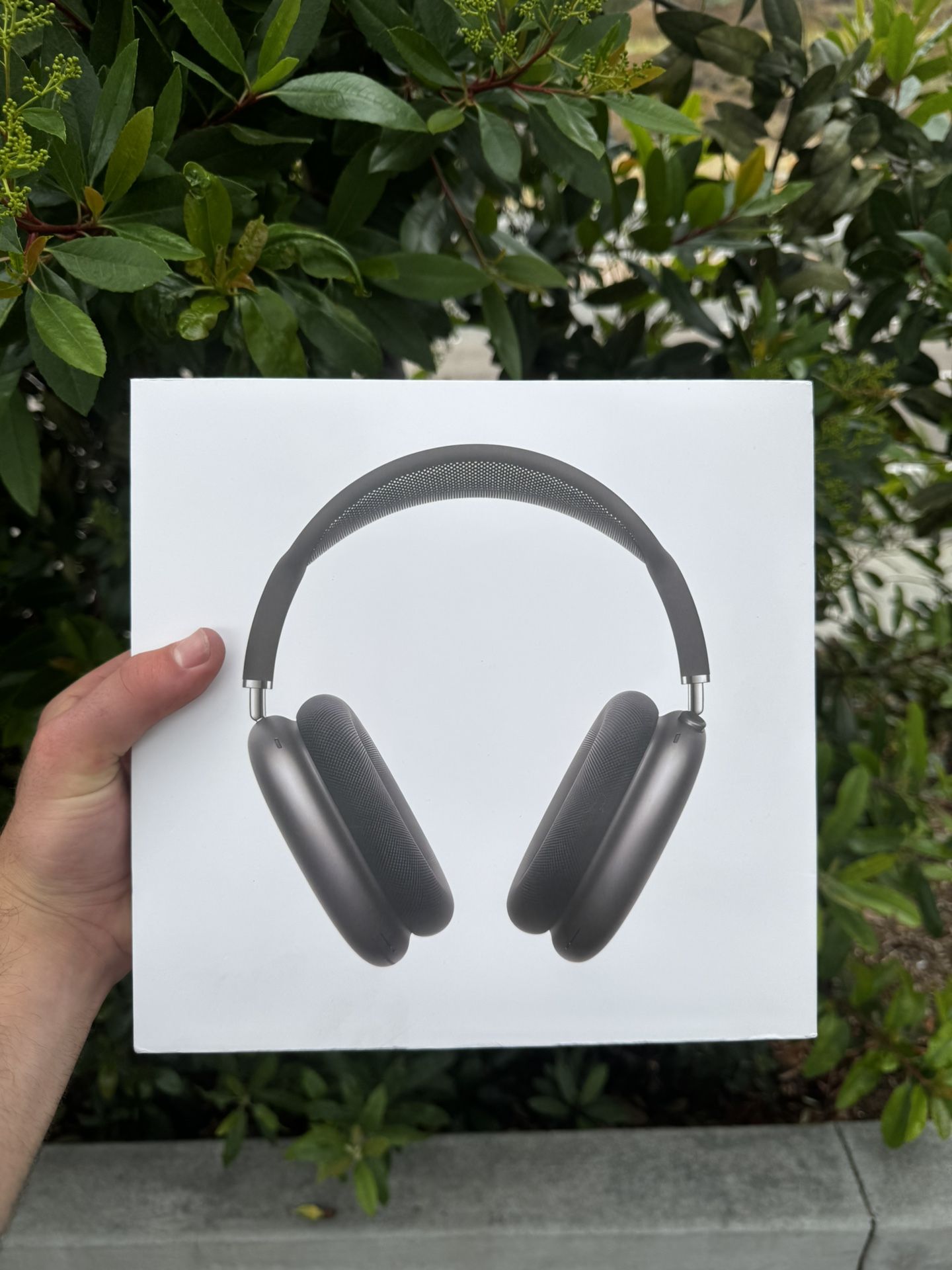 Apple Airpods Max