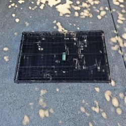 dog cage