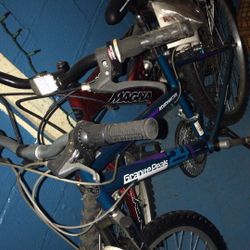 2 Bikes (Roadmaster,Magna) 