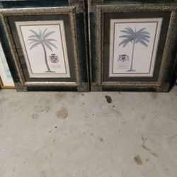 Palm Tree Prints