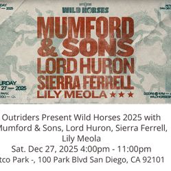 4 Tickets Mumford Sons Wild Horses 