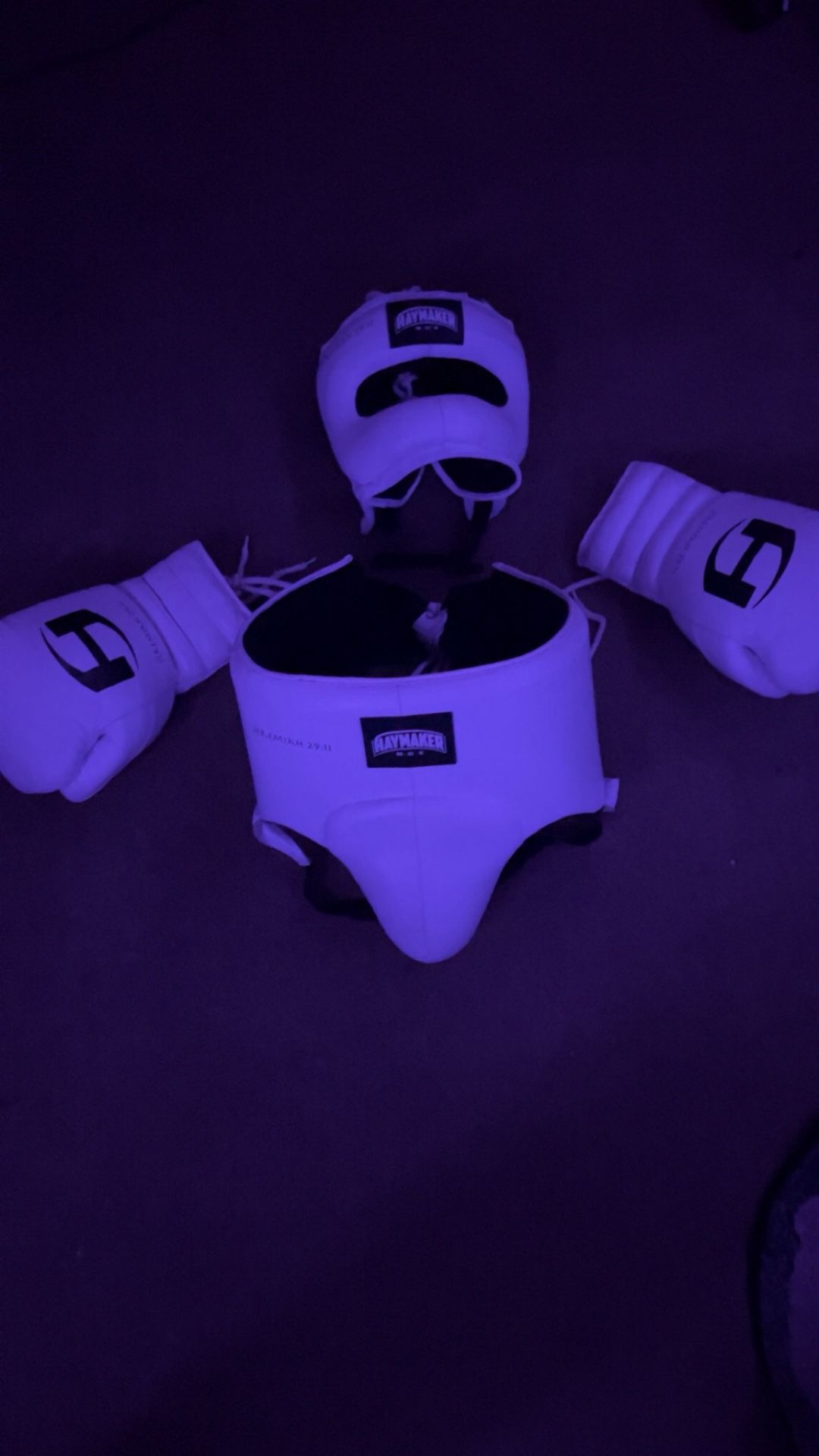 Haymaker Pro Boxing Set