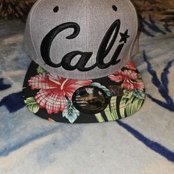 Hats $5 Snapbacks