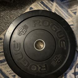 Rogue 45LB Rubber Plate
