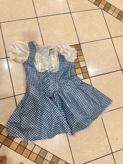 Dorothy Dress Costume 