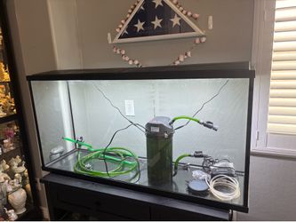 55 gallon fish tank