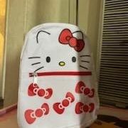 Hello Kitty  Bag