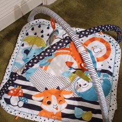 Fisher Price Lay & Play