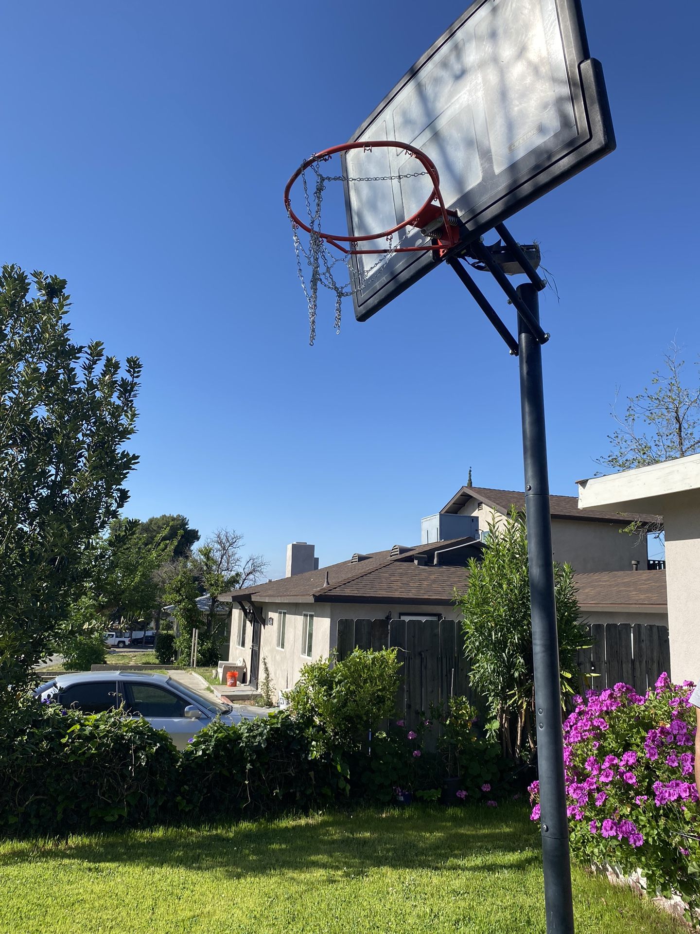 Basketball Hoop 