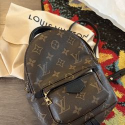 Louis Backpack Broken Zipper 