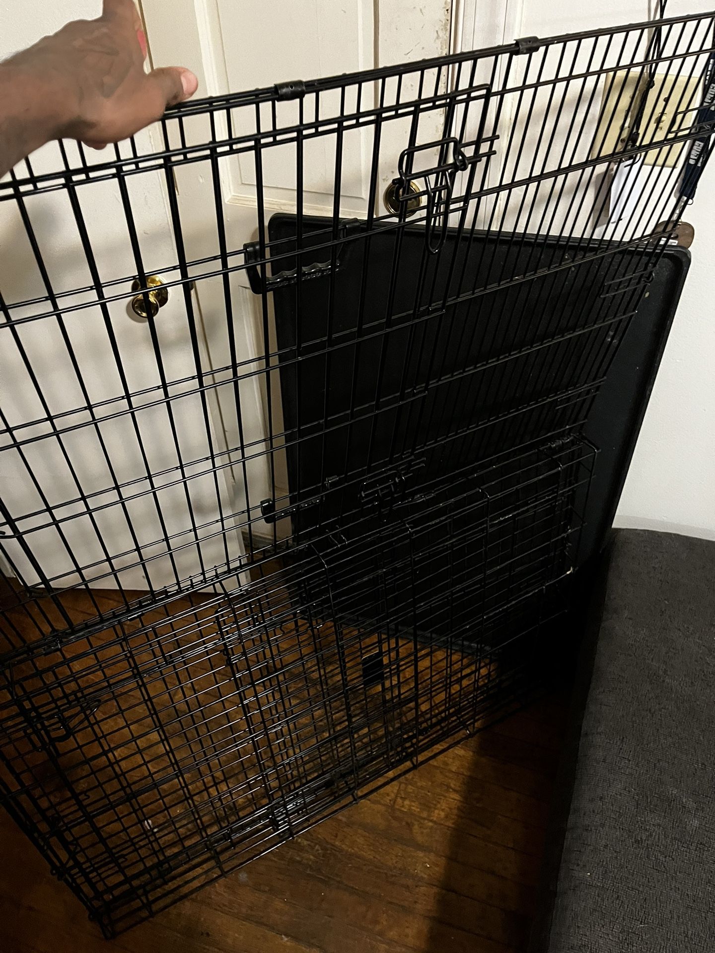 Dog Cage