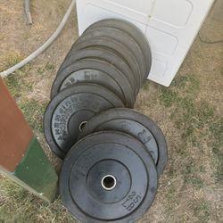25lb bumperweight  plates