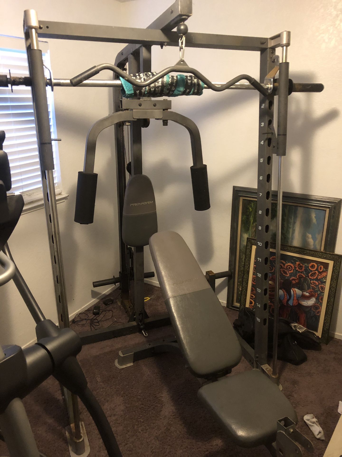 Smith Machine workout equipment and weights 35&50lb dumbbells sold.