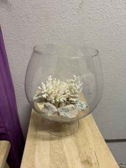 Beachy Fish Bowl Starter Kit – Vase, Coral, Rocks + Supplies