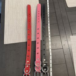 Dog Collars 
