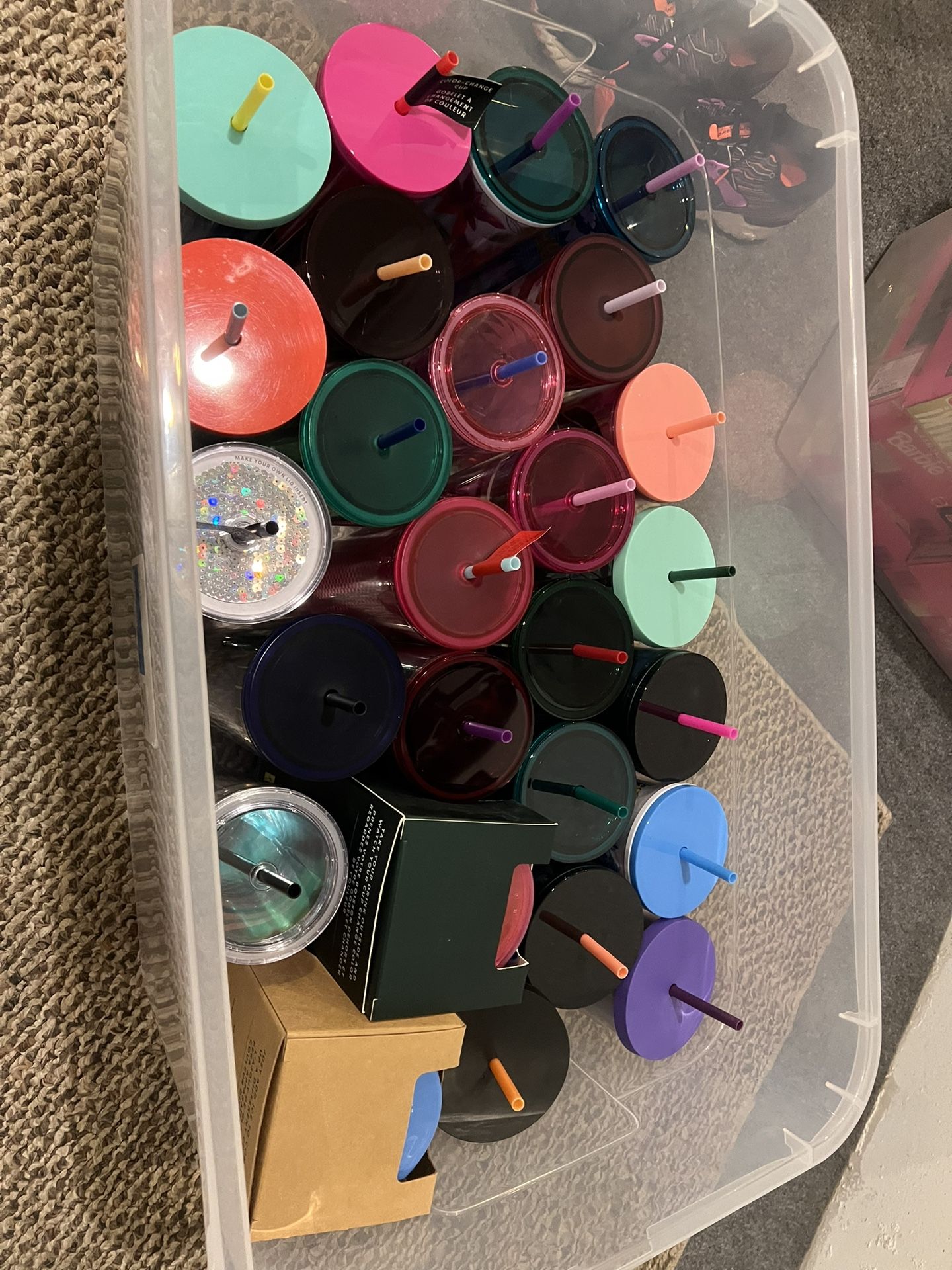 Starbucks Cups
