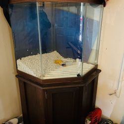 Fish Tank Aquarium - 50 Gallon 