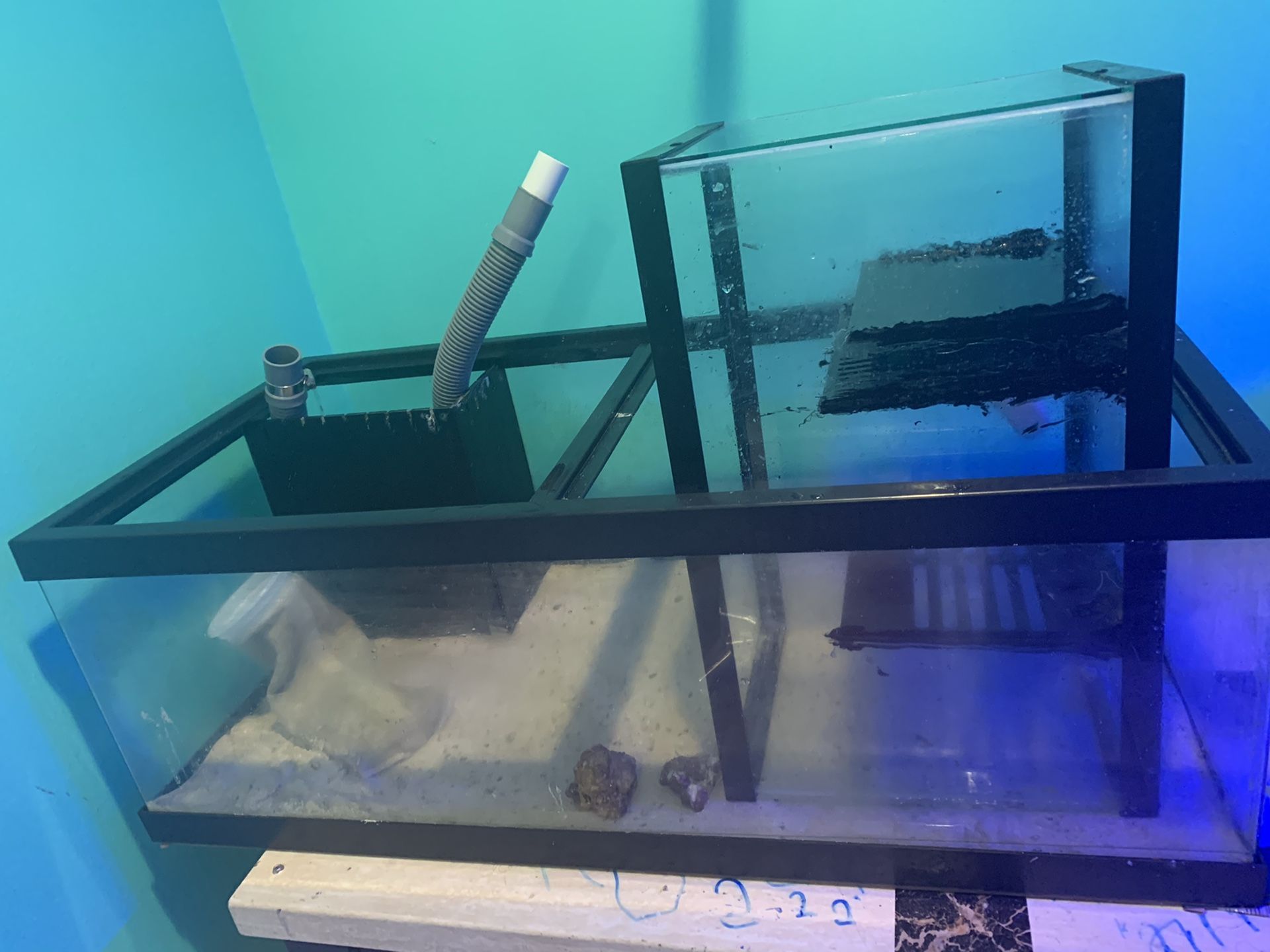 Saltwater Tank