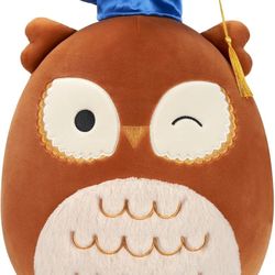 Brand New Graduation Squishmallow 