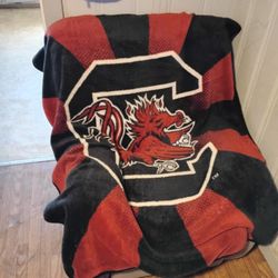Lazy boy Recliner 